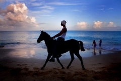 p121- Horse_BeachStCroixUP