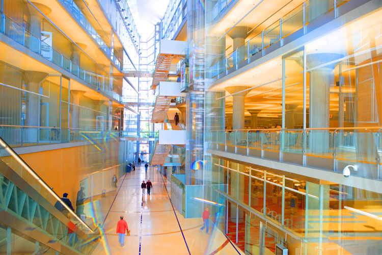 Vision of Learning through Glass : Minneapolis Central Library